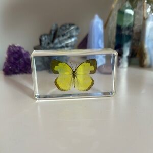 Ethically Sourced Small Butterfly in Resin